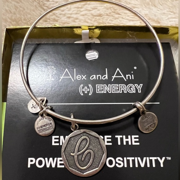 2013 Alex and Ani “C” Bangle - Picture 2 of 2